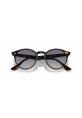 RB 2180 710/4L 49 RAYBAN Güneş Gözlüğü